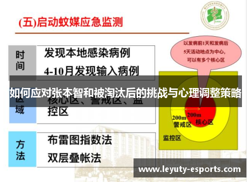 如何应对张本智和被淘汰后的挑战与心理调整策略